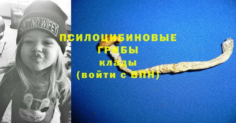 Галлюциногенные грибы GOLDEN TEACHER  MEGA зеркало  Новоуральск 